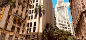 Buildings with palm trees in Sao Paulo.