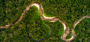 Aerial view of Amazon river winding through the forest.