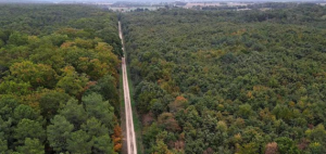 Aerial view of a forest in France's Moulière massif.