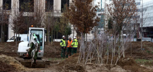 Three men are standing in the middle of the roundabout tree planting site. Photo Credit: Reuters.