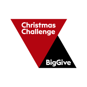 Big Give Christmas Challenge 2024